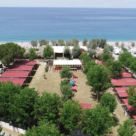 Tropical Casette * Diamante