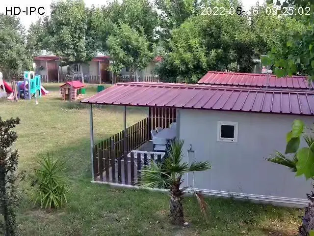 Tropical Casette * Diamante